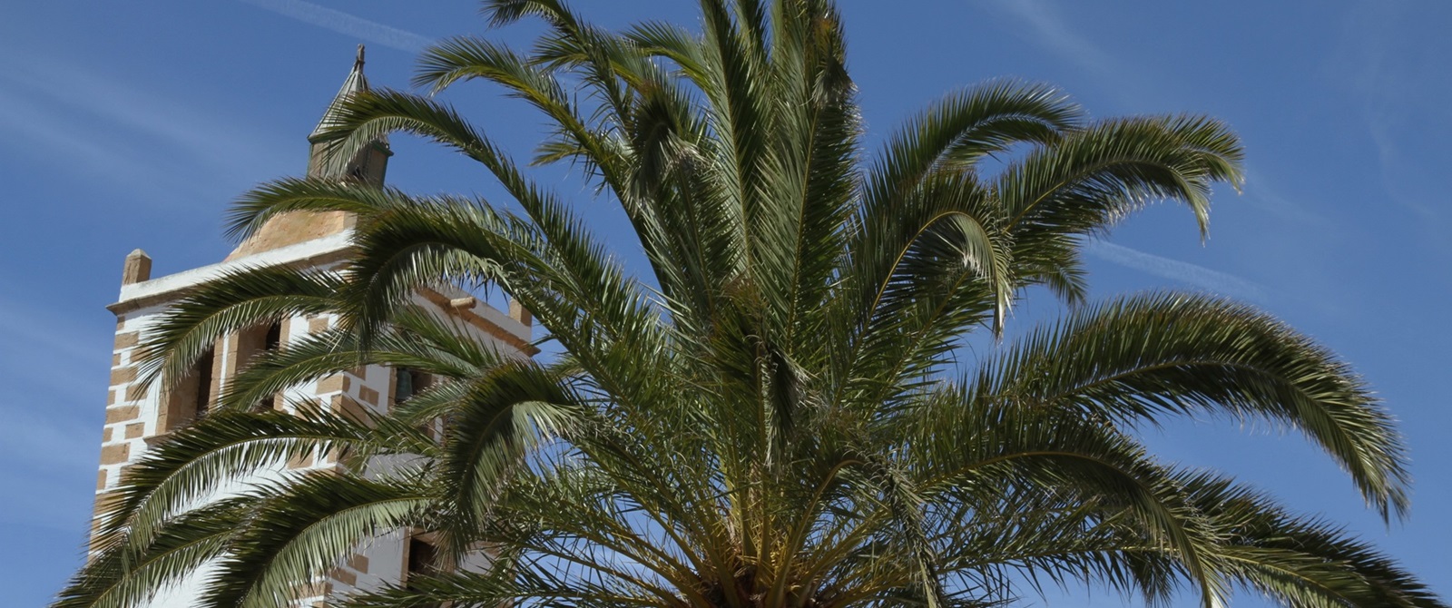 Palme vor der Iglesia de Santa María de Betancuria