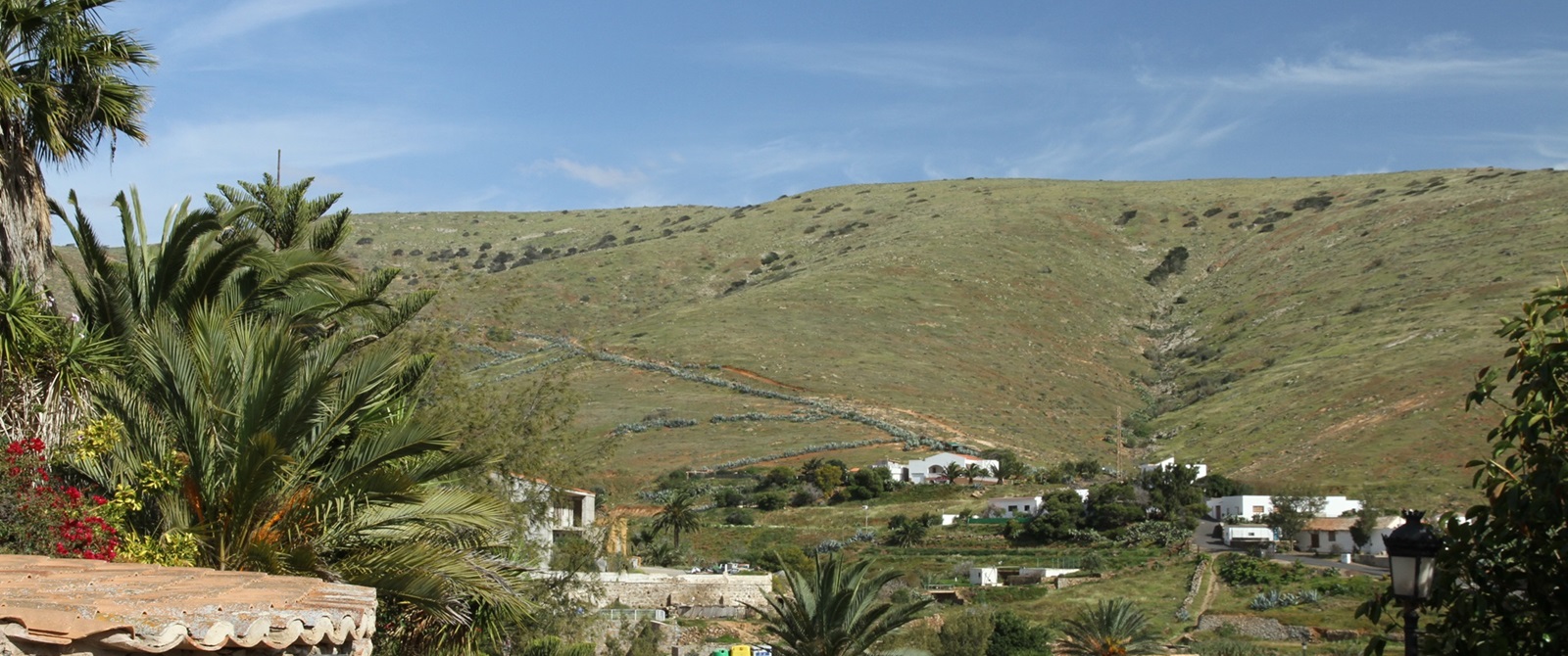 Grüne Berge bei Betancuria
