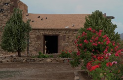 Altes Haus und Blumen auf Fuerteventura