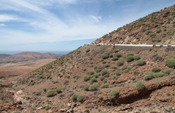 Bergstraße auf Fuerteventura