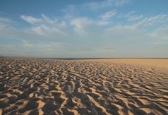 Sandlandschaft bei Corralejo