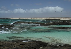 Felsküste von Fuerteventura