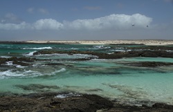 Felsküste von Fuerteventura