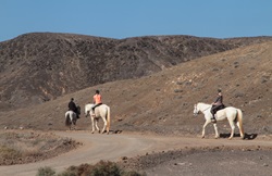 Reiten auf Fuerteventura